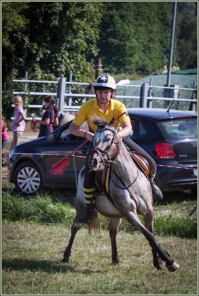 Mounted Games 296